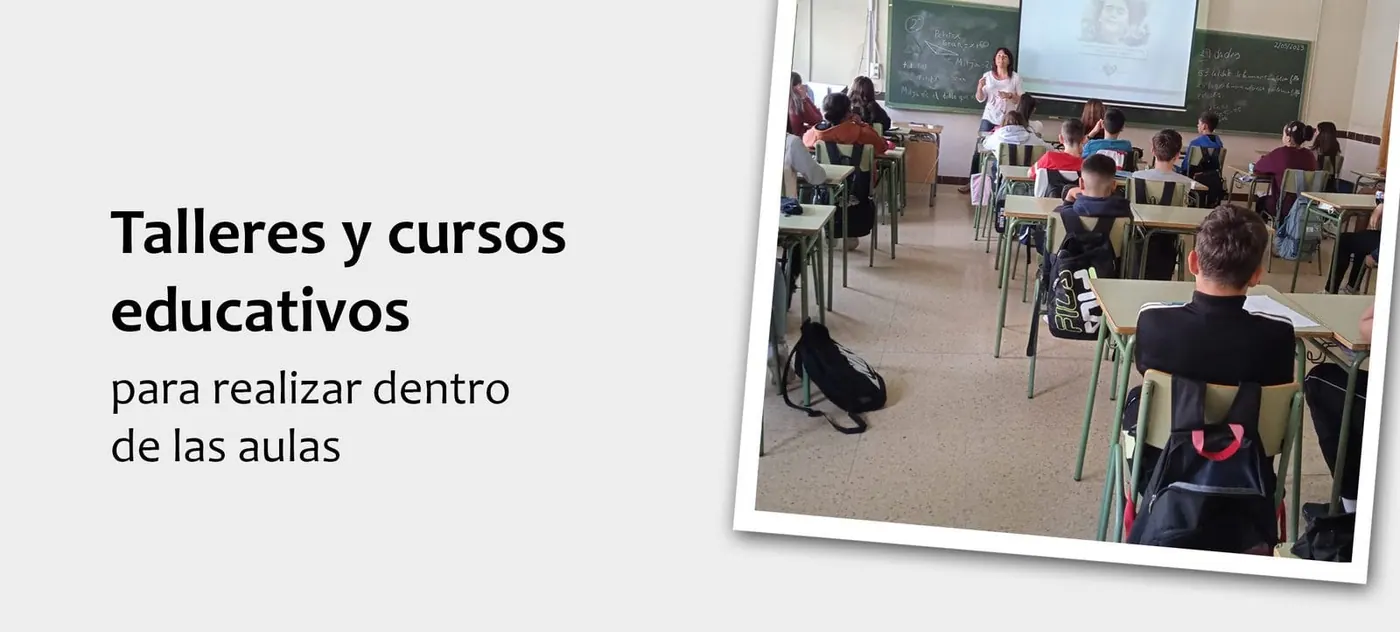Talleres y cursos educativos para realizar dentro del aula