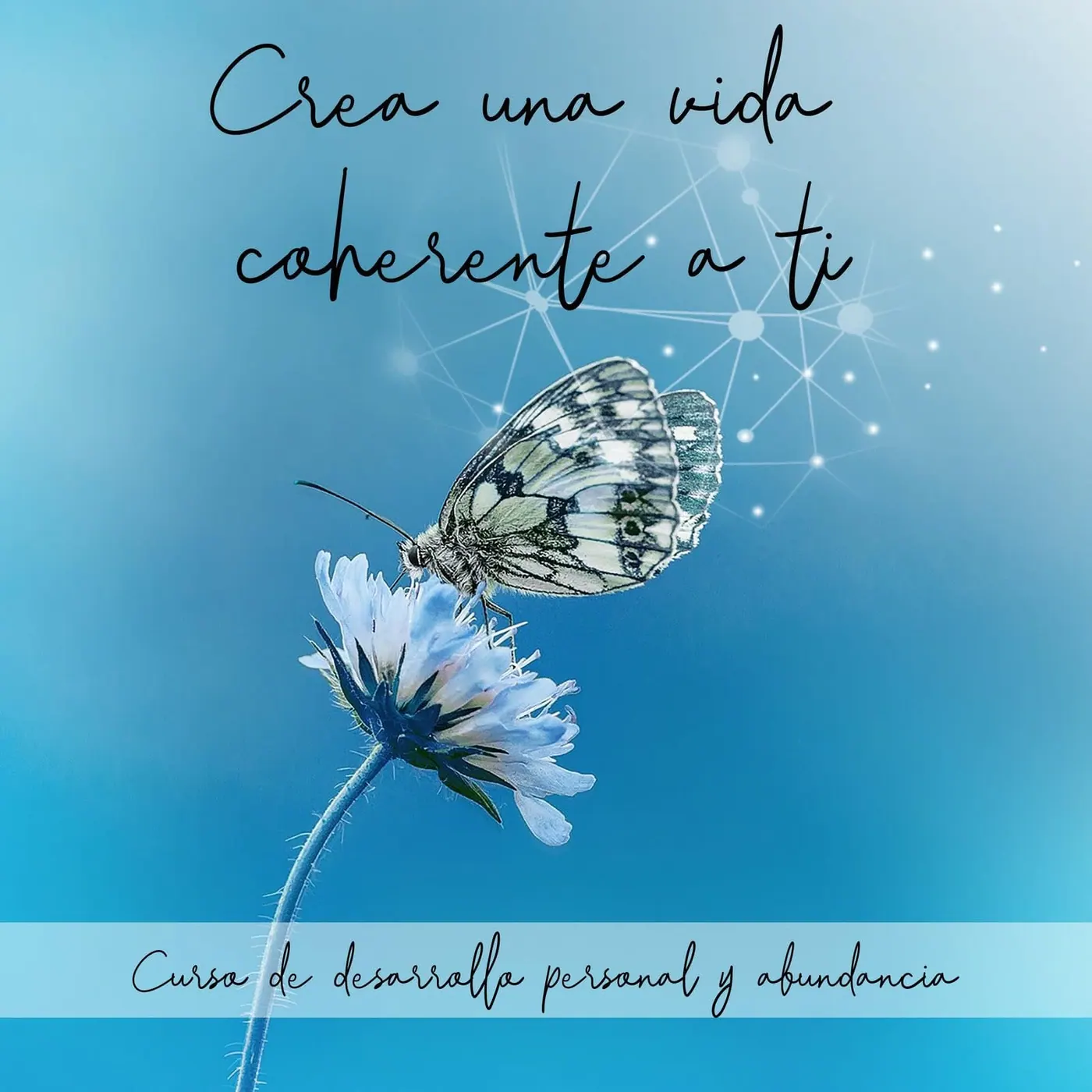 Crea una vida coherente a ti — curso de desarrollo personal y abundancia